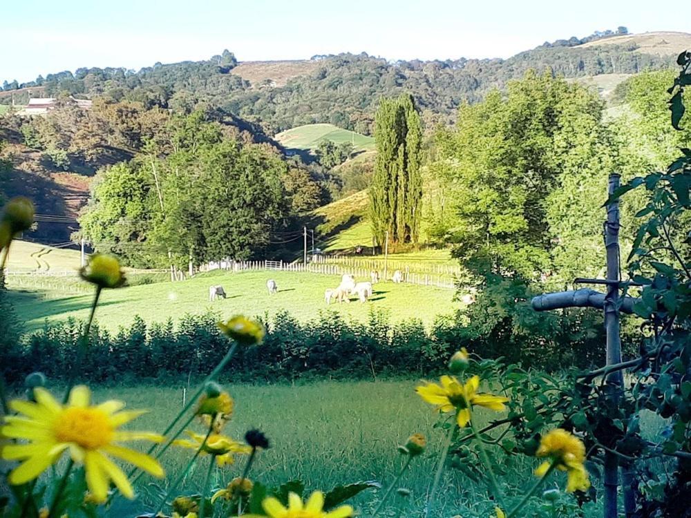 "Chez Naty" Chambres D'Hotes Au Pays-Basque Cheraute Екстер'єр фото